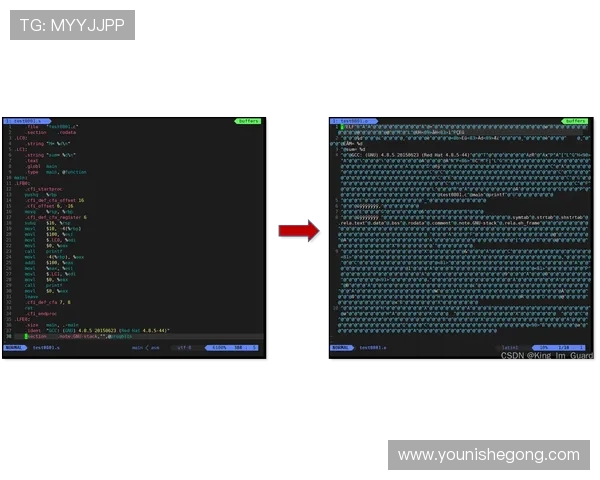 亚星娱乐客户端：最新版本下载与使用指南全面解析