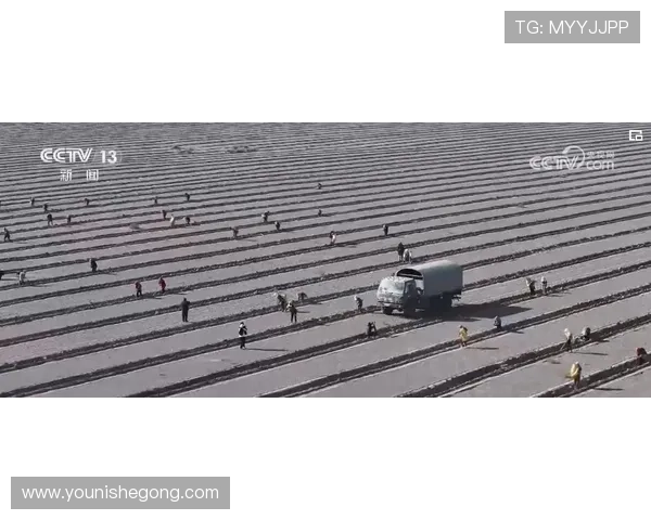 亚星st50钢排钉规格型号大全，助力建筑与木工行业实现高效连接解决方案