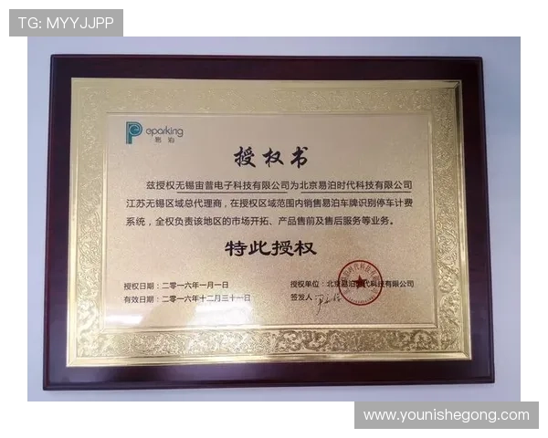 亚星代理网管理系统官网客户服务与技术支持渠道，及时解决代理使用中的问题