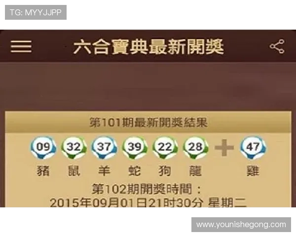 亚星娱乐游戏最新资讯与攻略全面解析助你轻松掌握游戏技巧提升体验